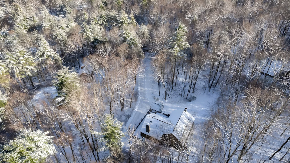 Wander Great Barrington Woods