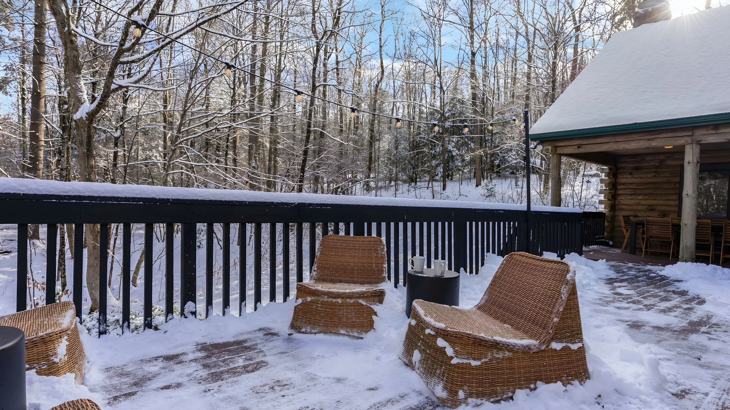 Wander Great Barrington Woods #28