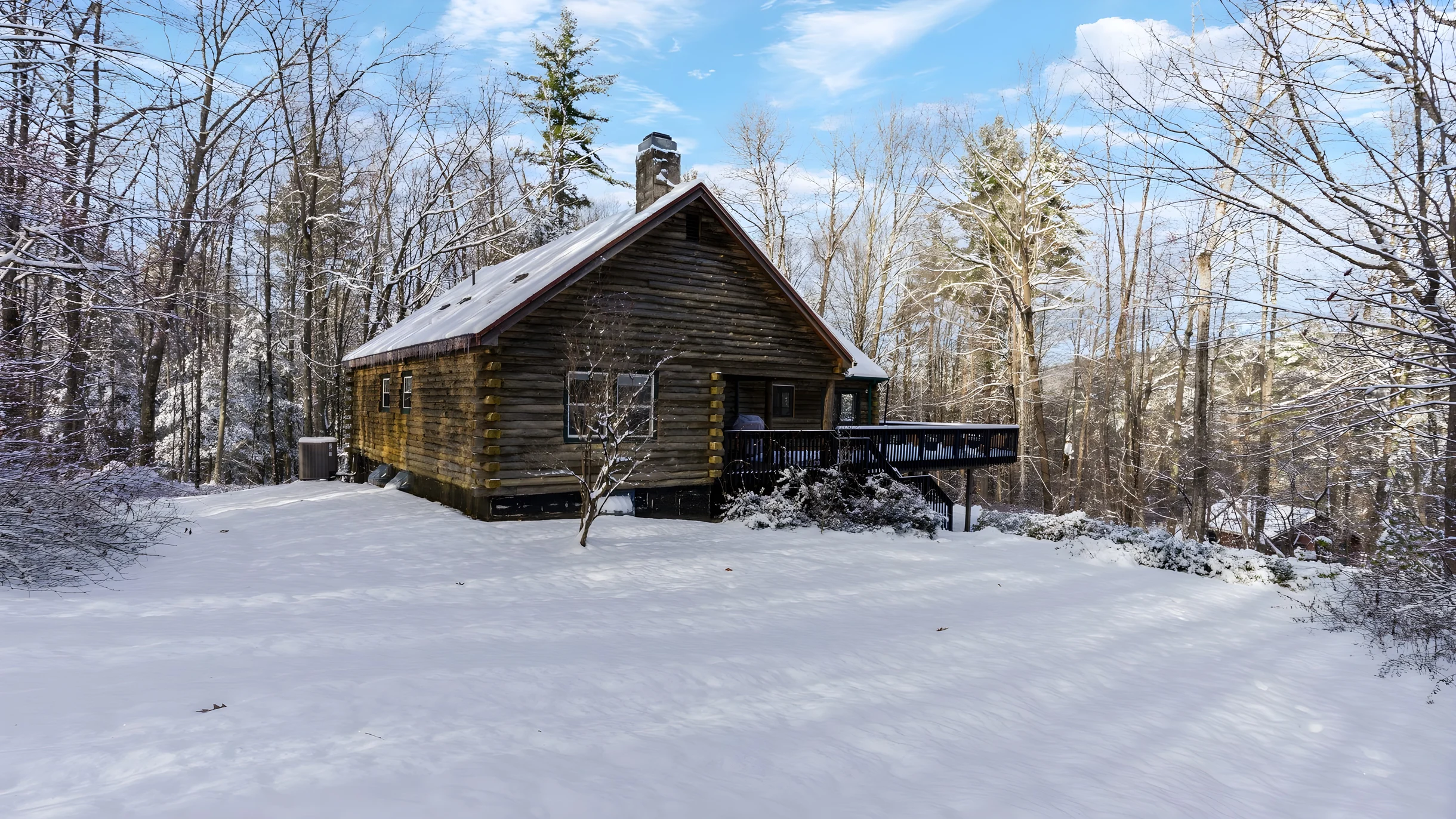 Wander Great Barrington Woods #3