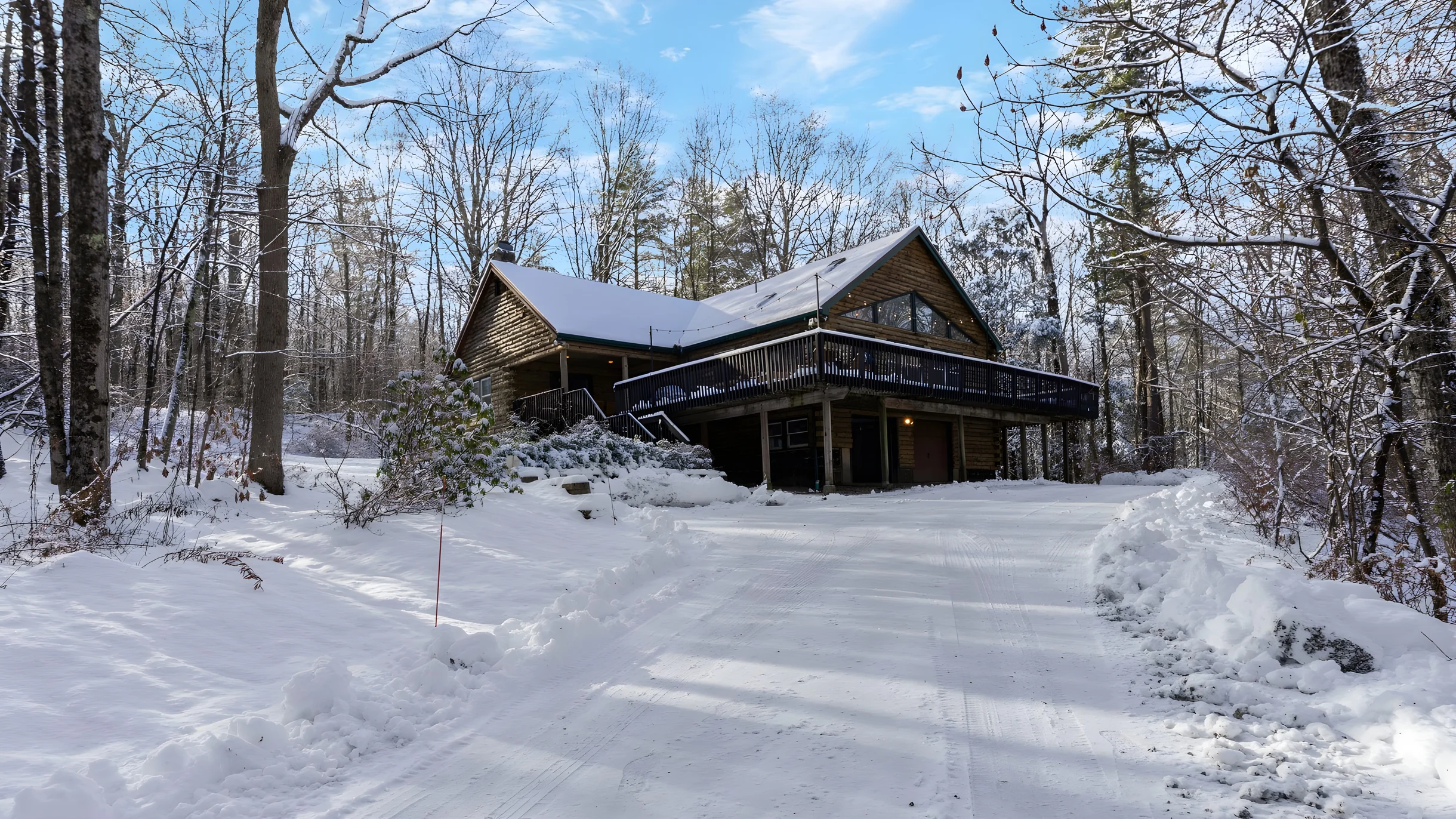 Wander Great Barrington Woods #2