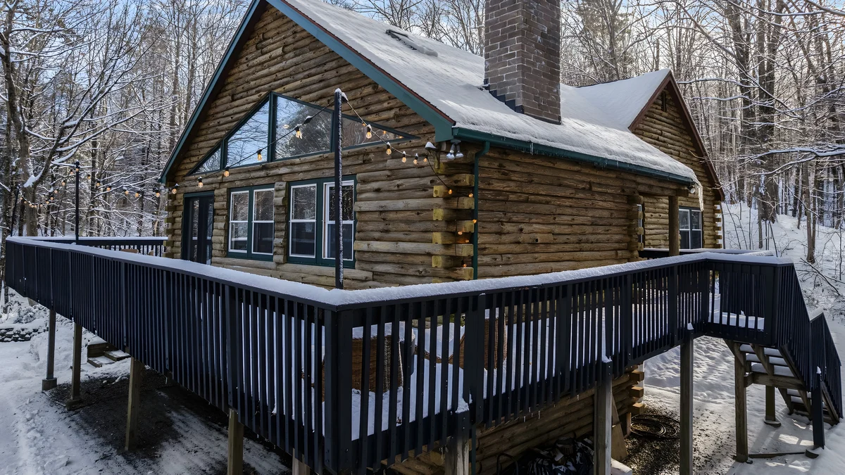 Wander Great Barrington Woods