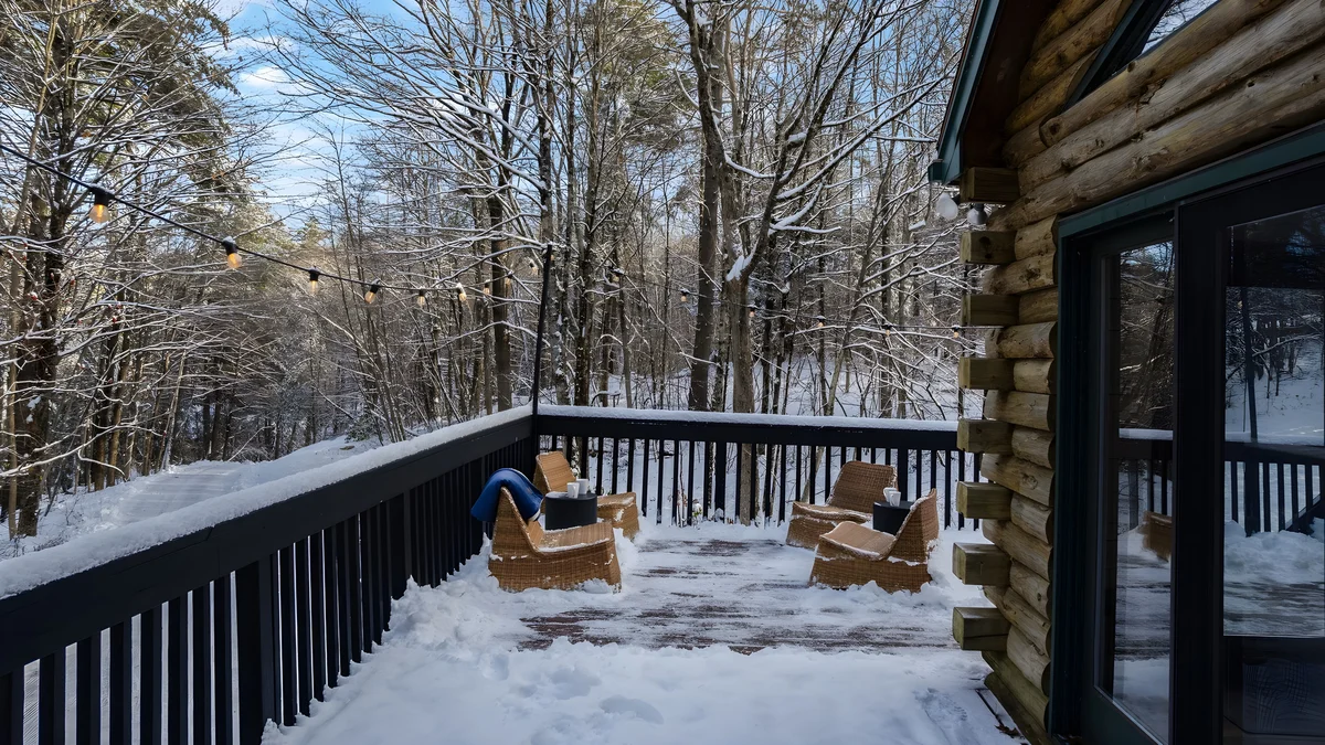 Wander Great Barrington Woods