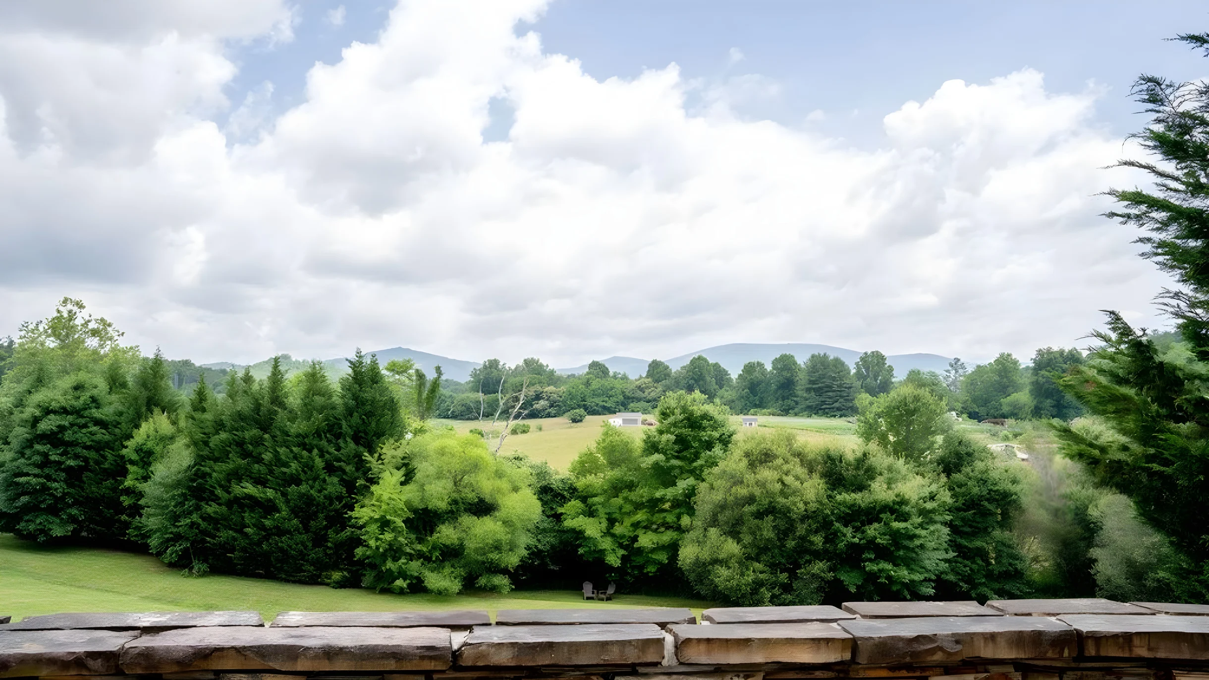 Wander Fairview Vista #5