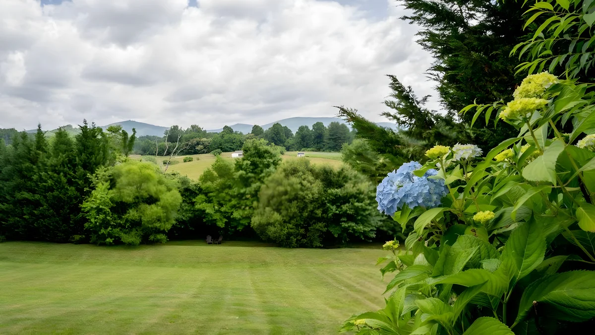 Wander Fairview Vista