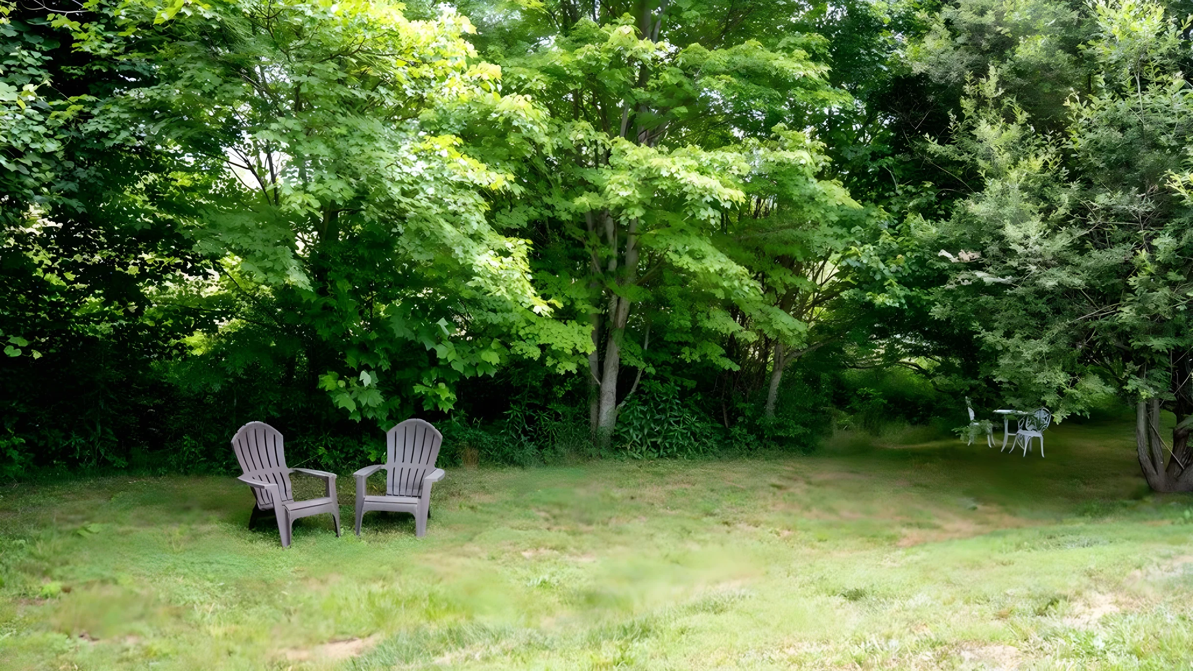 Wander Fairview Vista #24
