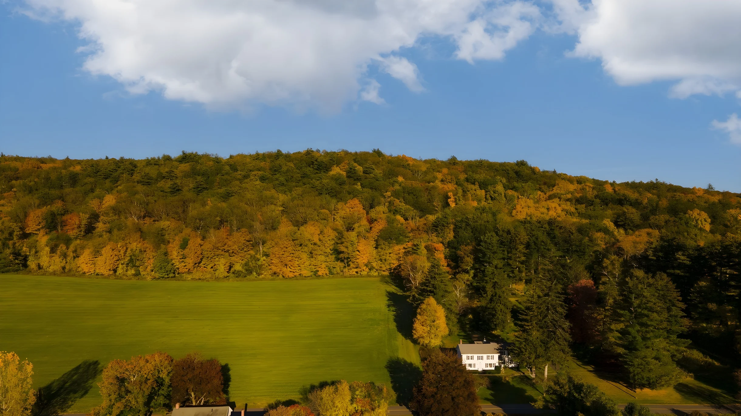 Wander Berkshires Estate #46