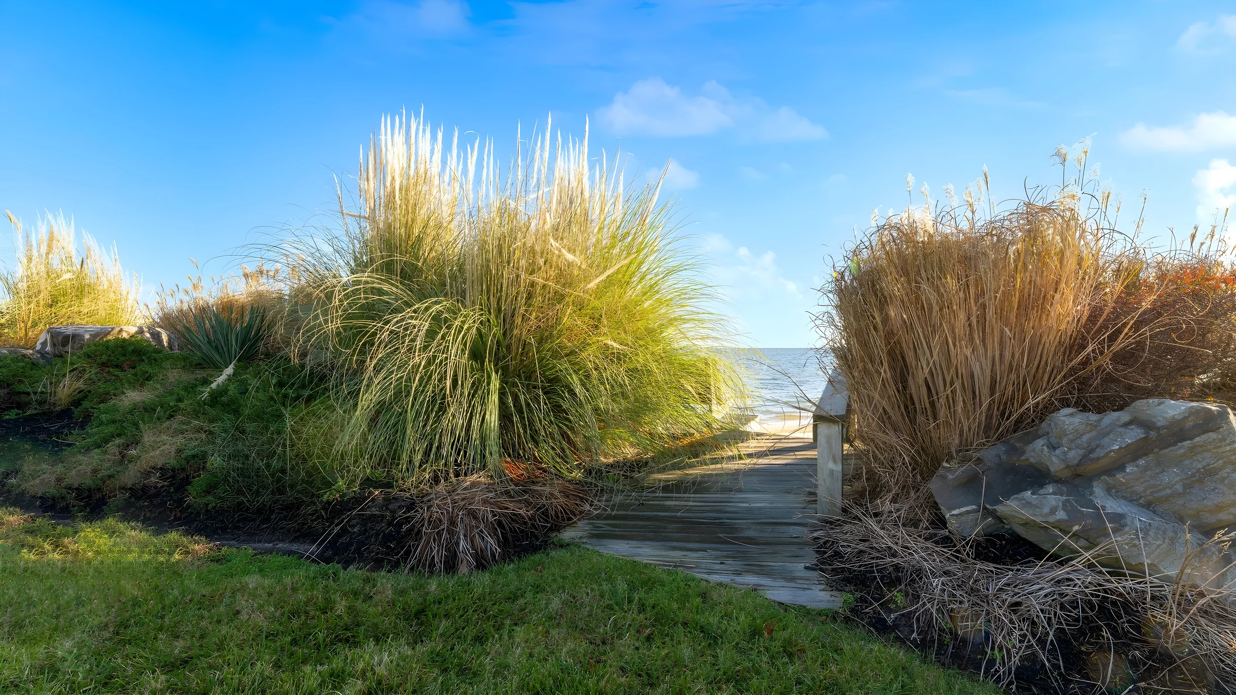 Wander Dameron Bayfront #51
