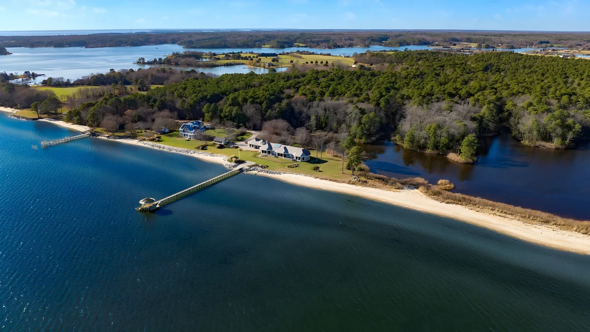 Wander Dameron Bayfront