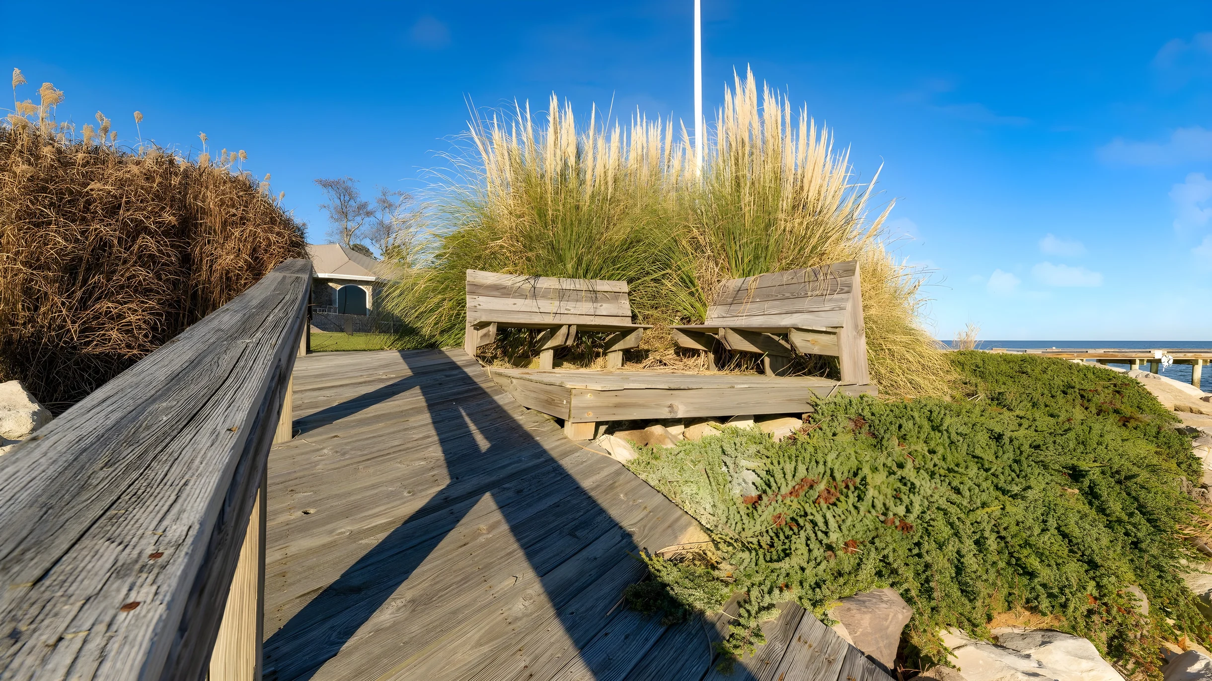 Wander Dameron Bayfront #30