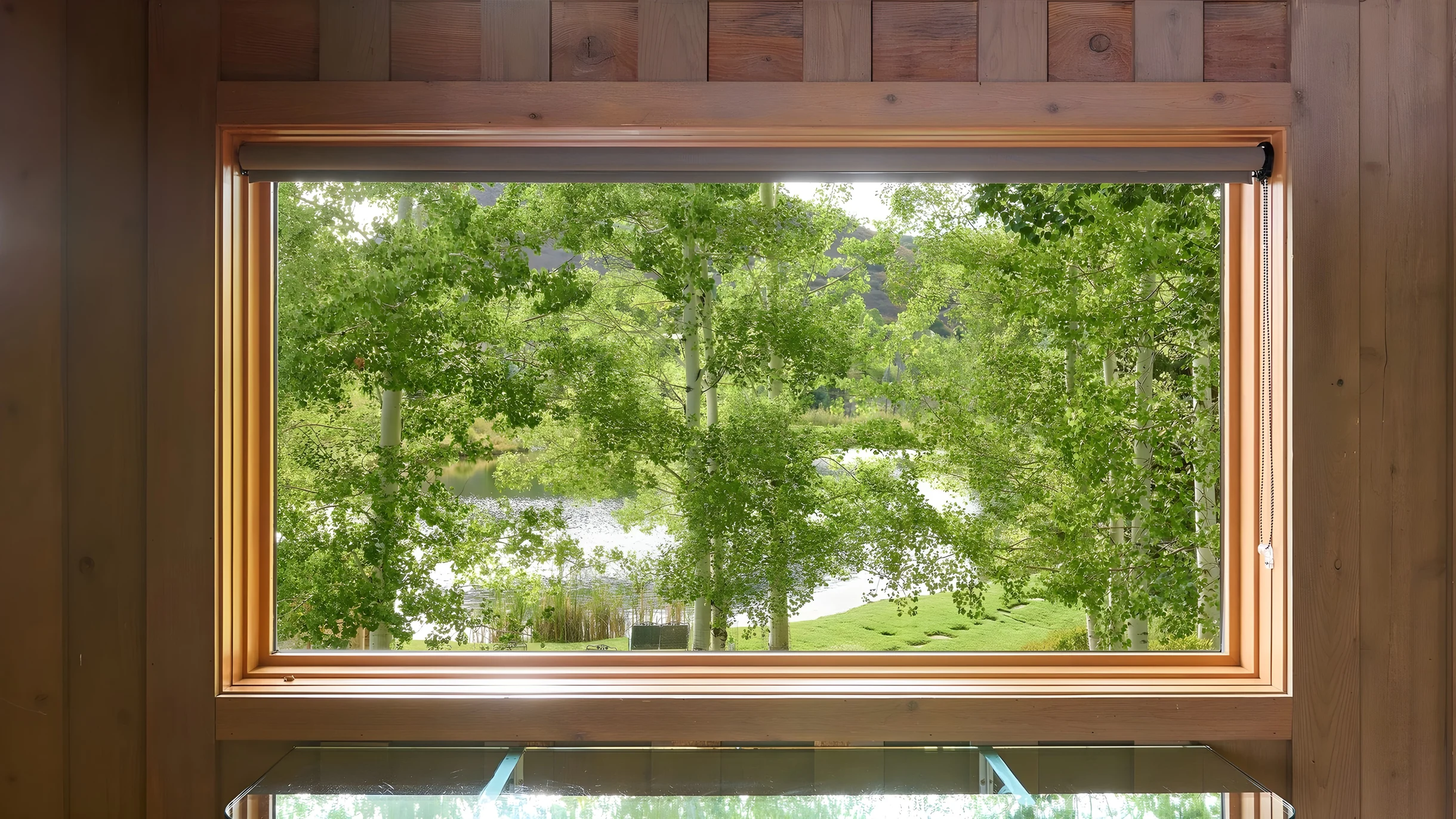 Wander Snowmass Creek