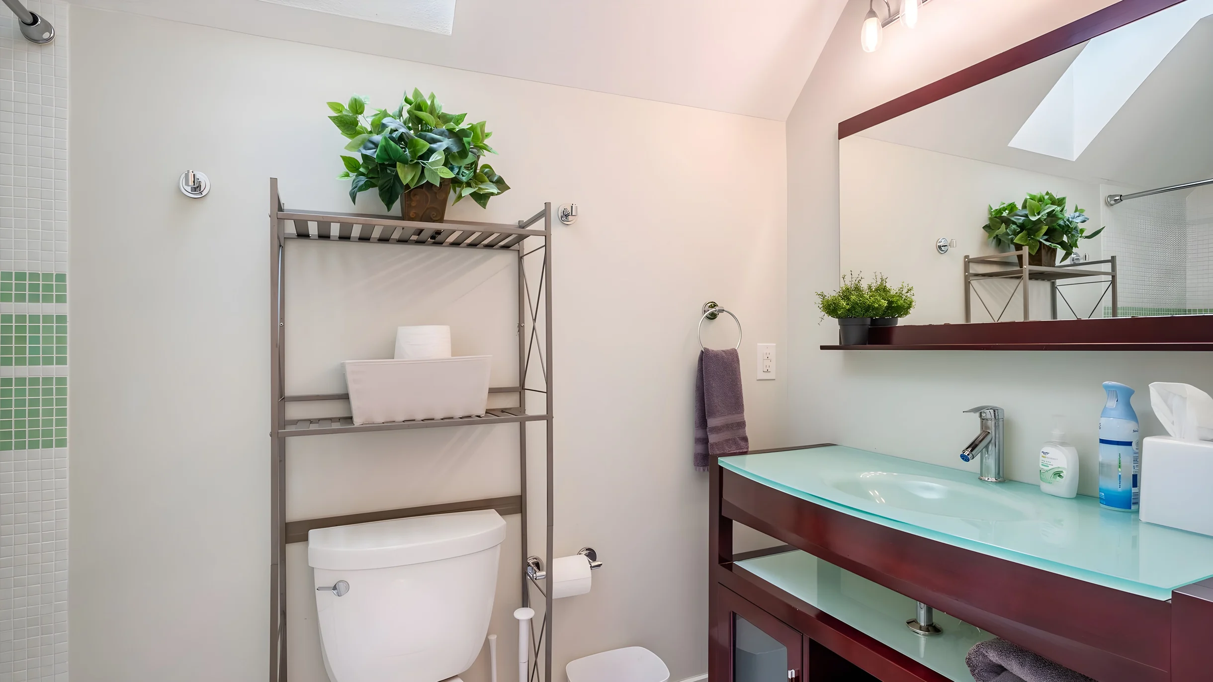 Wander Asheville Mountains #11