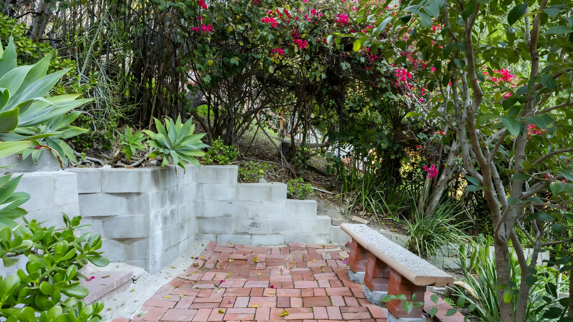 Wander Woodland Hills Foothills #42