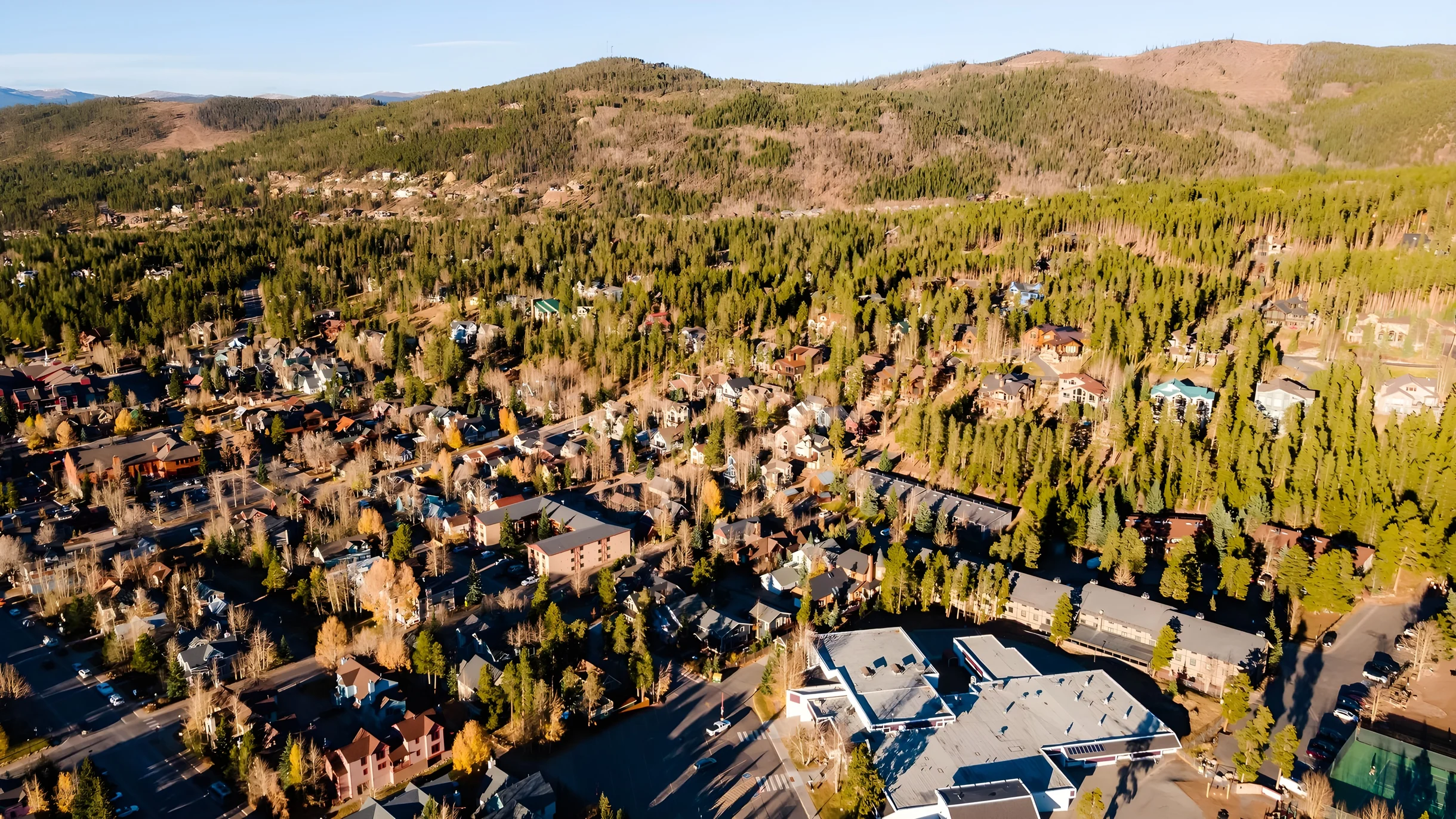 Wander Breckenridge Whales Tail #5