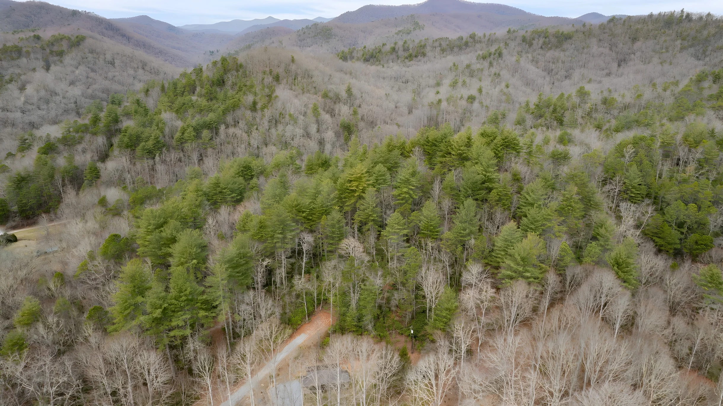 Wander Brevard Mountain #27