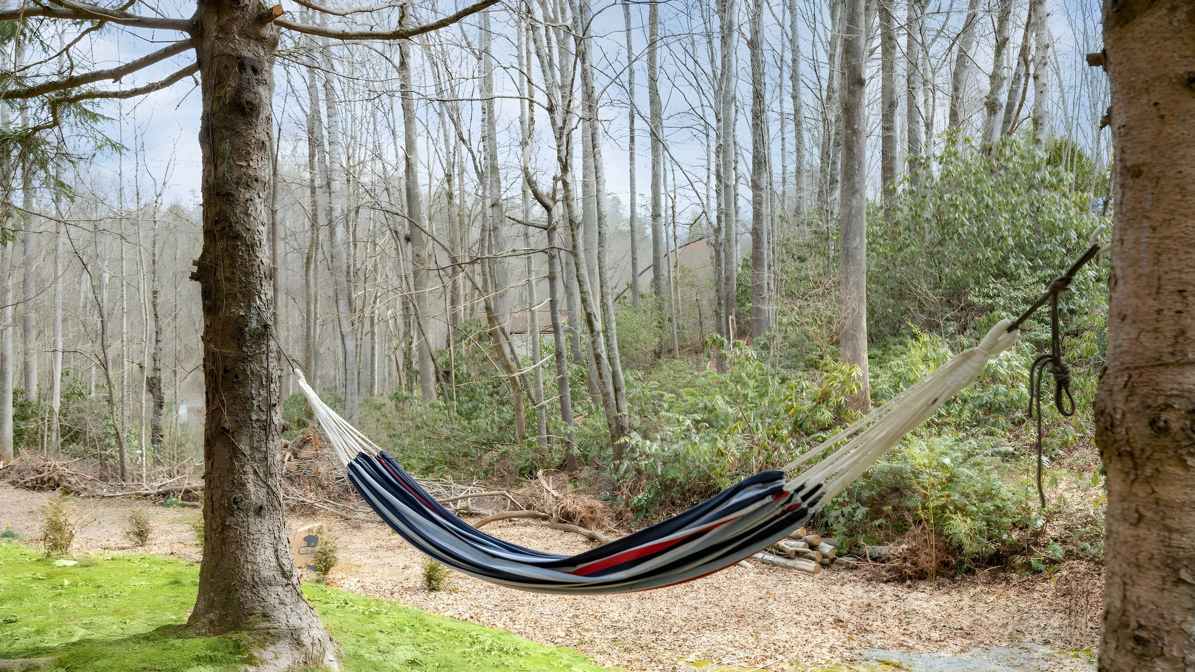 Wander Brevard Mountain #8