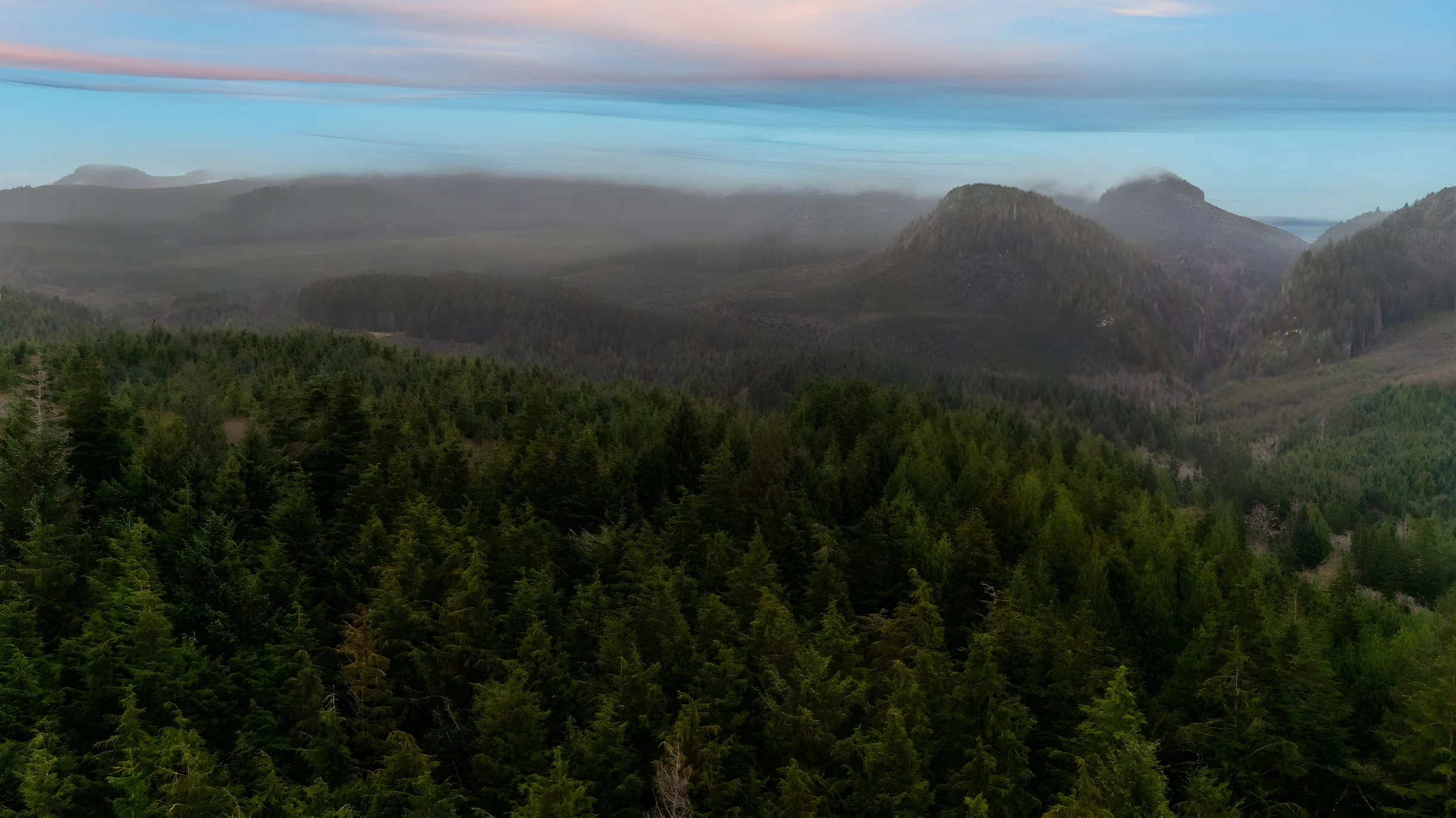 Wander Arch Cape Forest