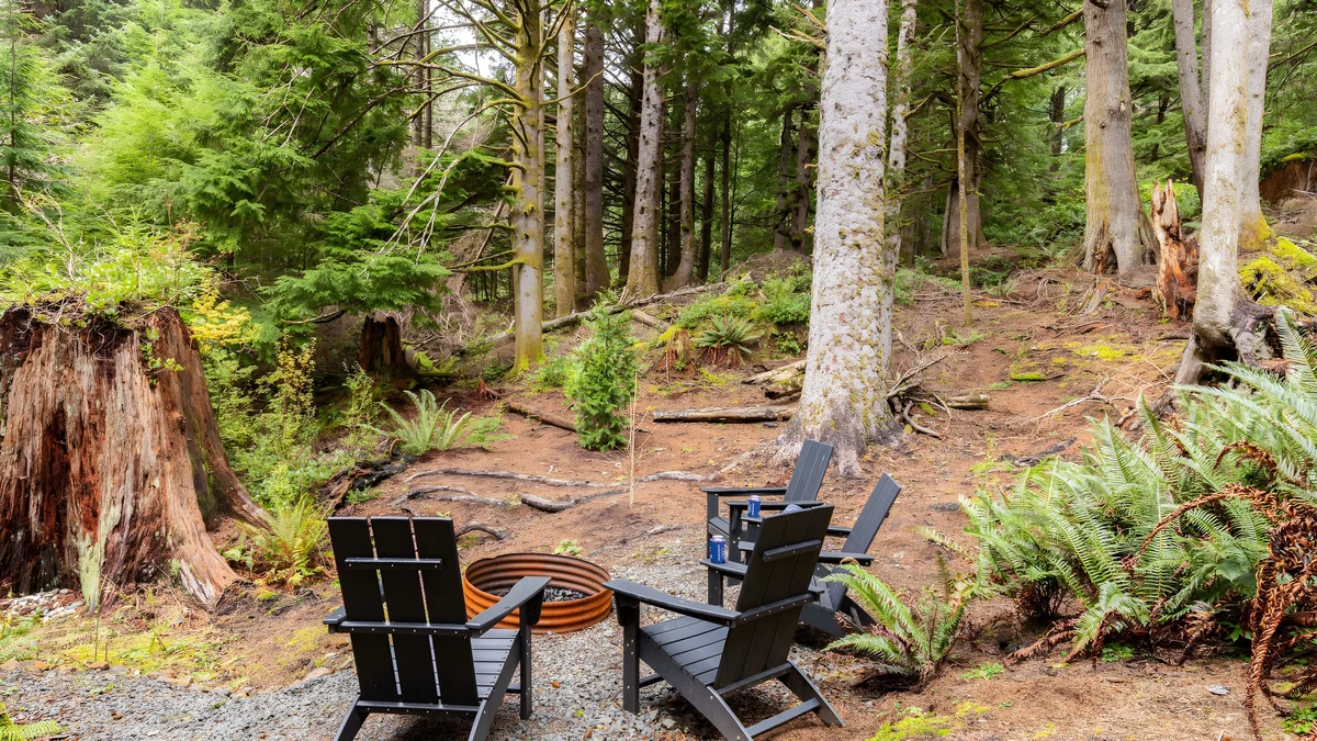 Wander Arch Cape Forest