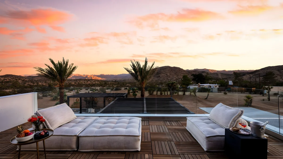 Wander Yucca Valley Blooms