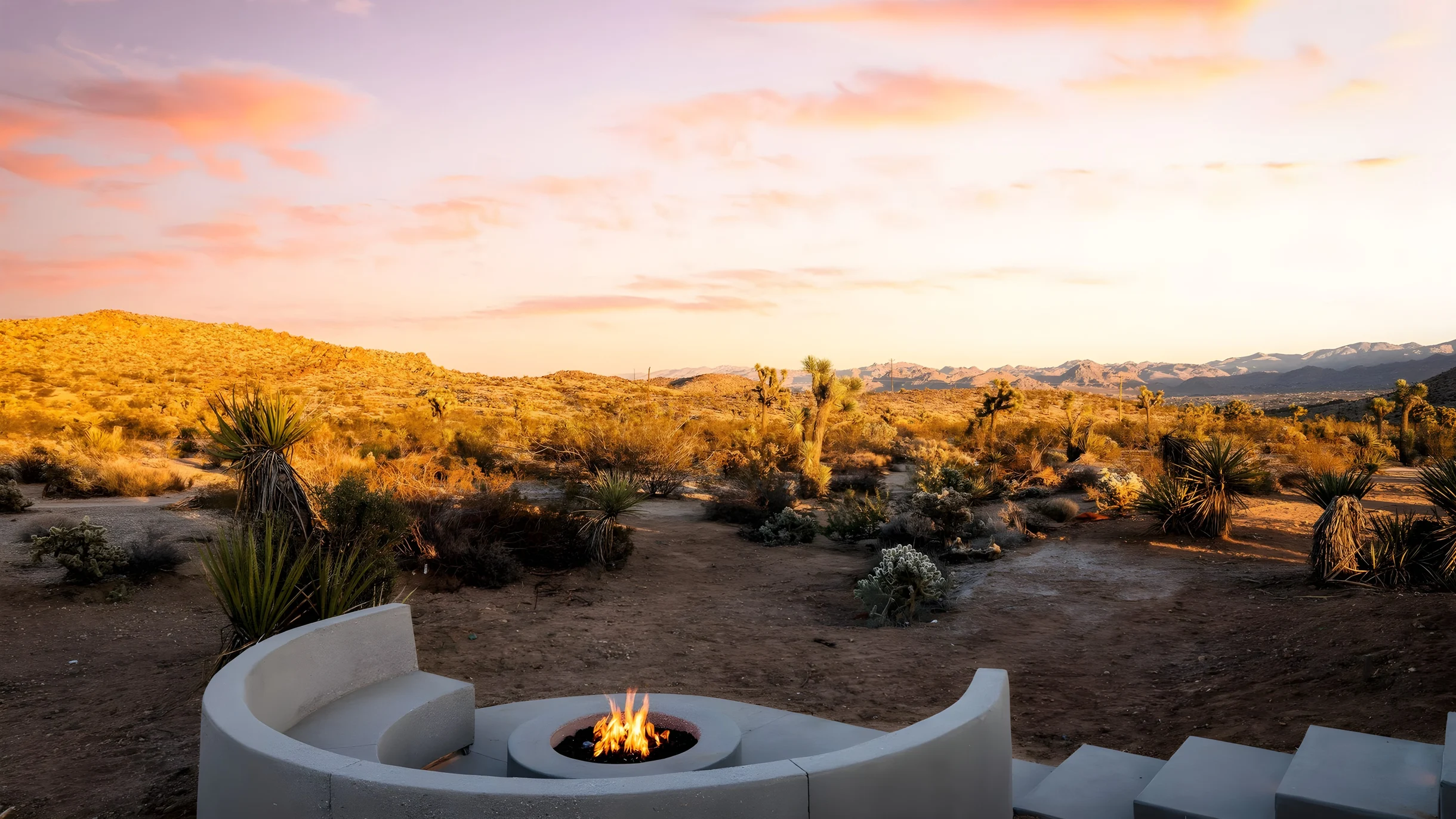 Wander Yucca Valley Blooms #5