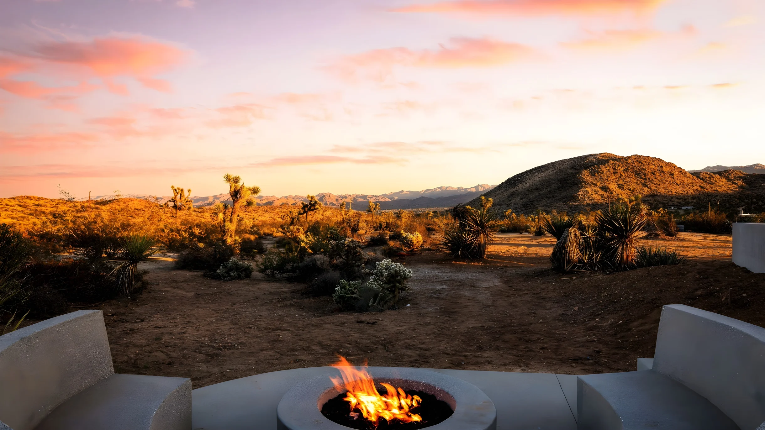 Wander Yucca Valley Blooms #31