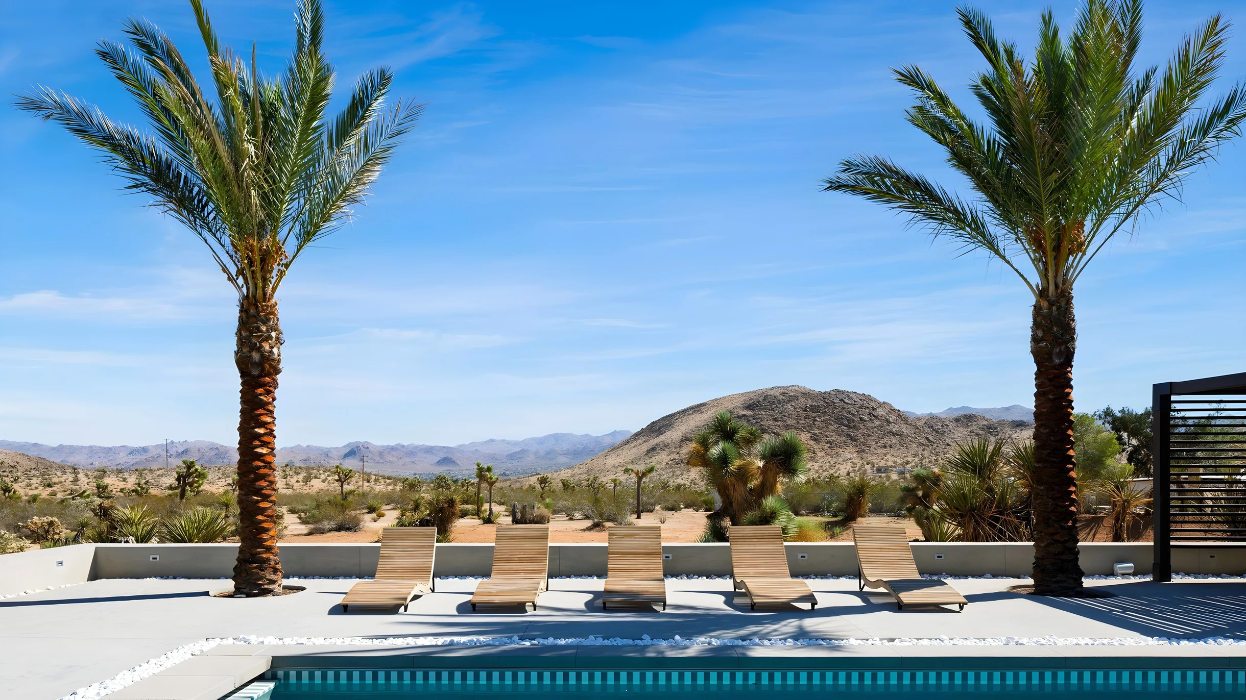 Wander Yucca Valley Blooms #62