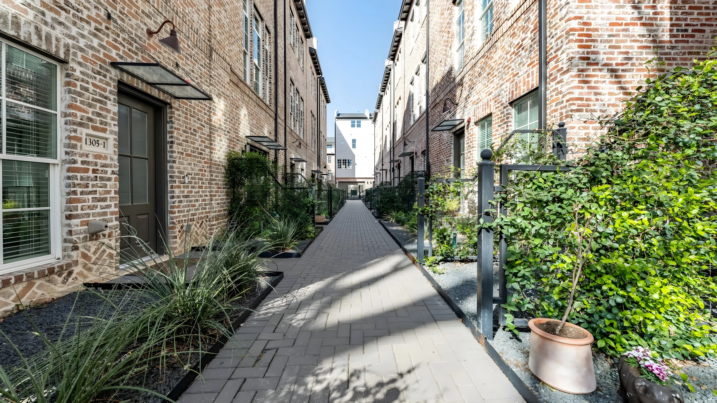 Wander Austin Lakefront #5