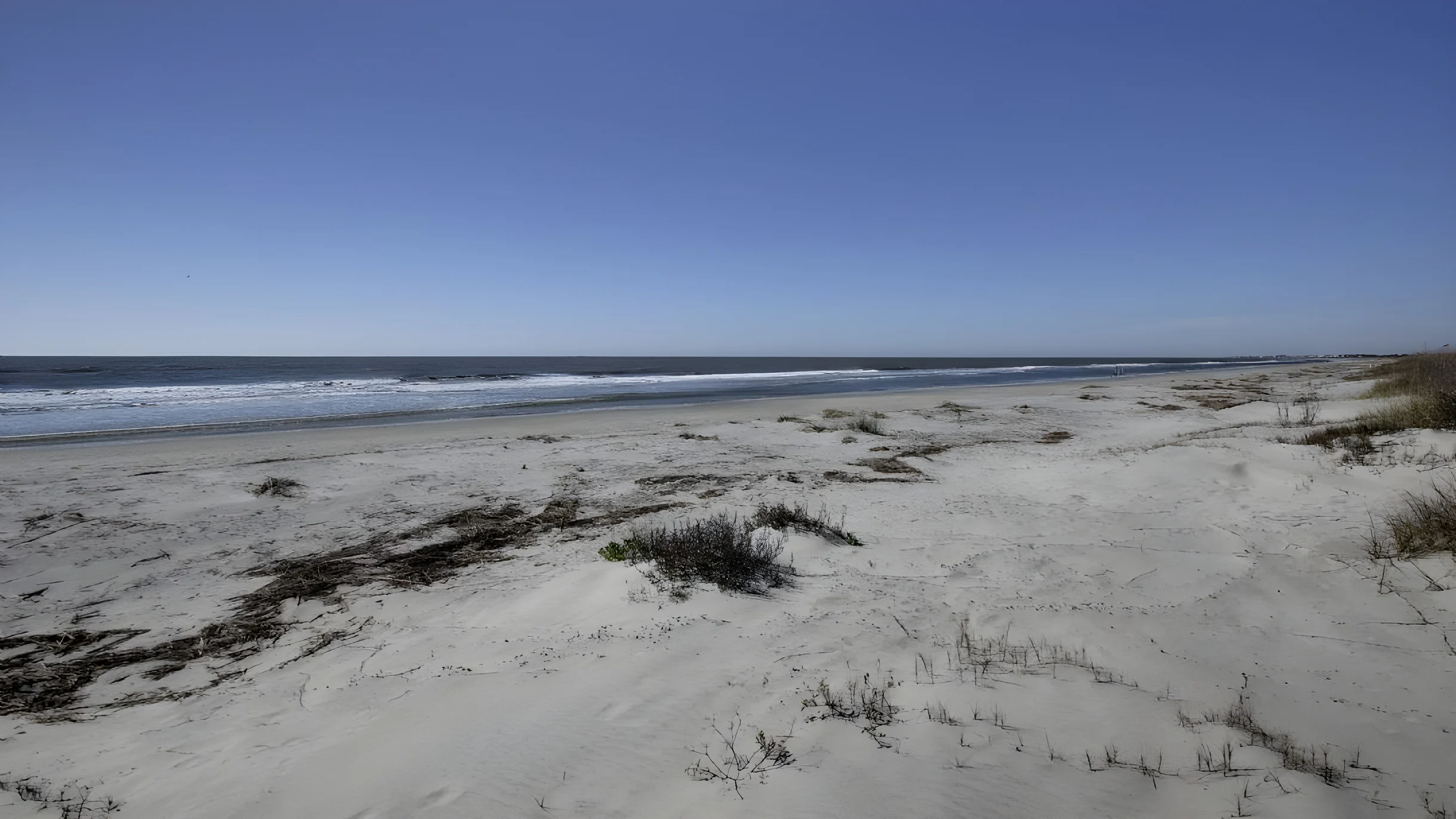 Wander Palms Cove #20