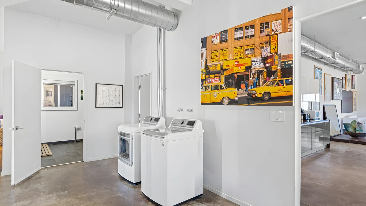 Wander Joshua Tree Cacti