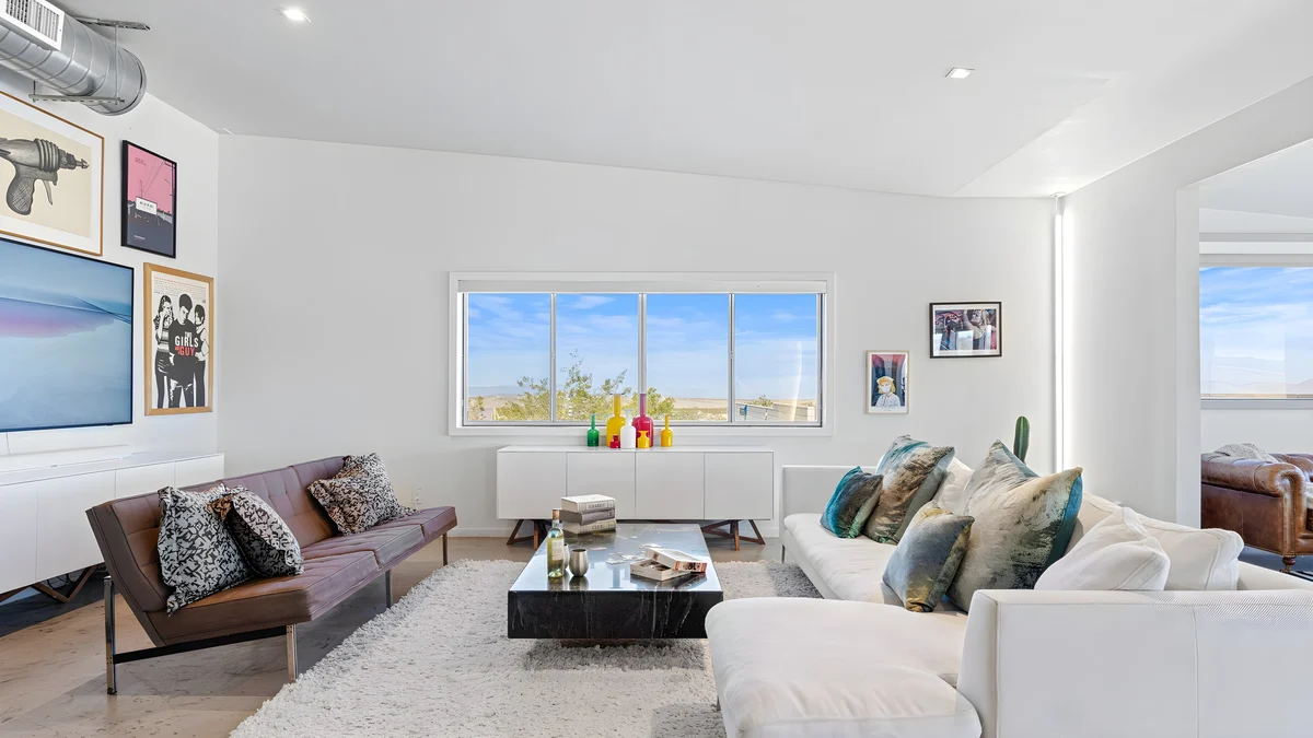 Wander Joshua Tree Cacti