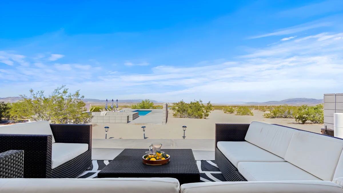 Wander Joshua Tree Cacti