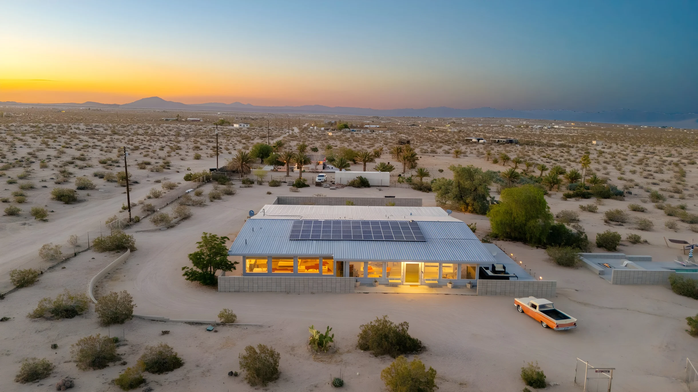 Wander Joshua Tree Cacti #5