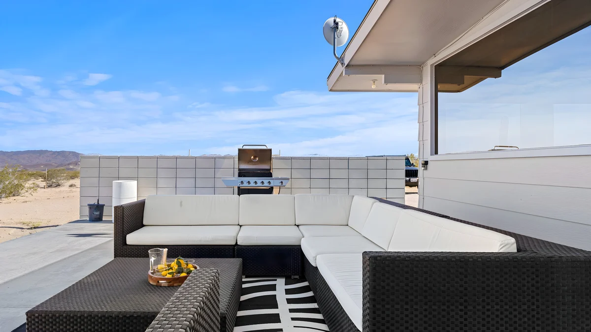 Wander Joshua Tree Cacti