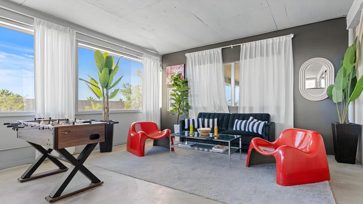 Wander Joshua Tree Cacti