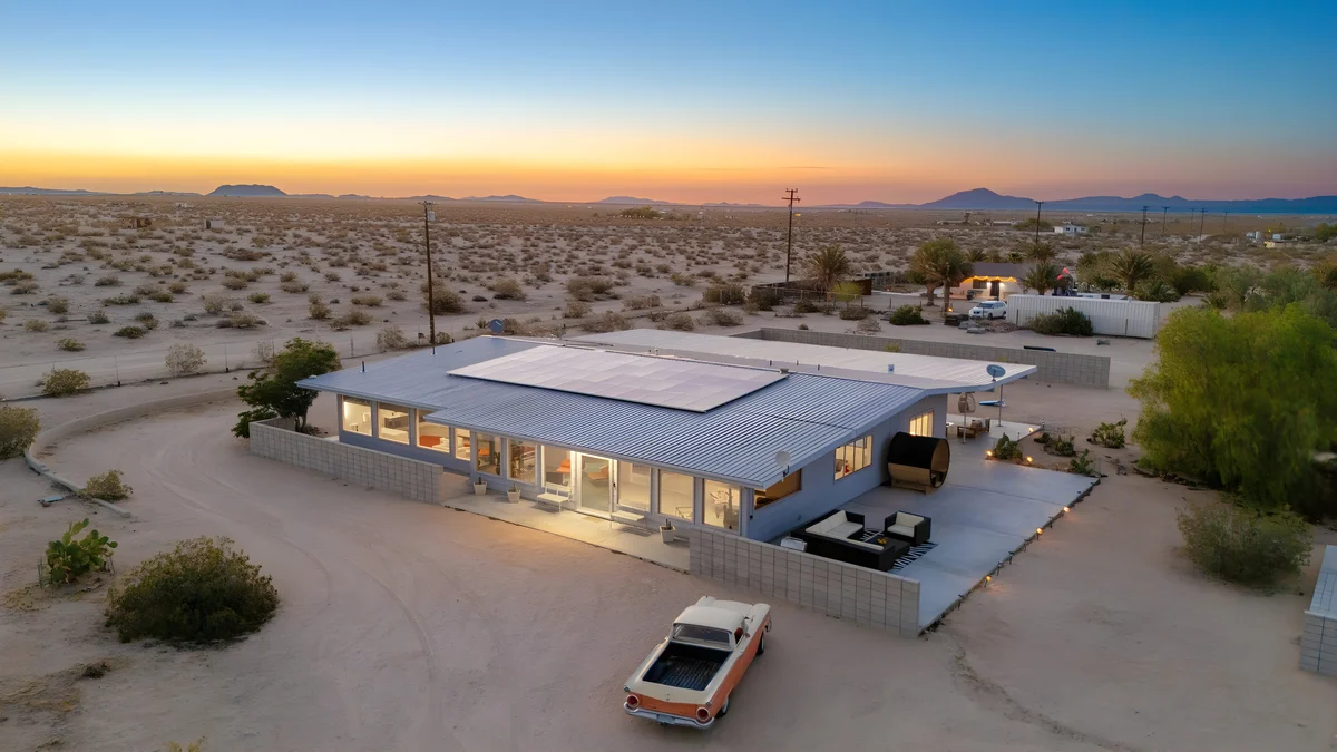 Wander Joshua Tree Cacti