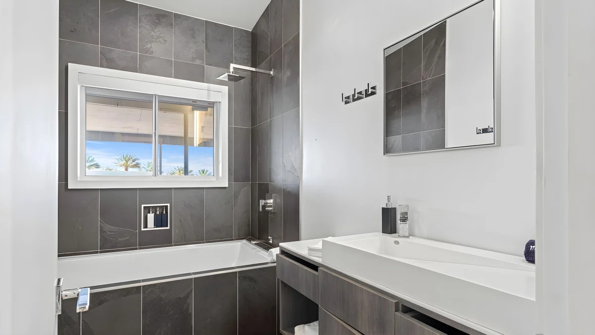 Wander Joshua Tree Cacti