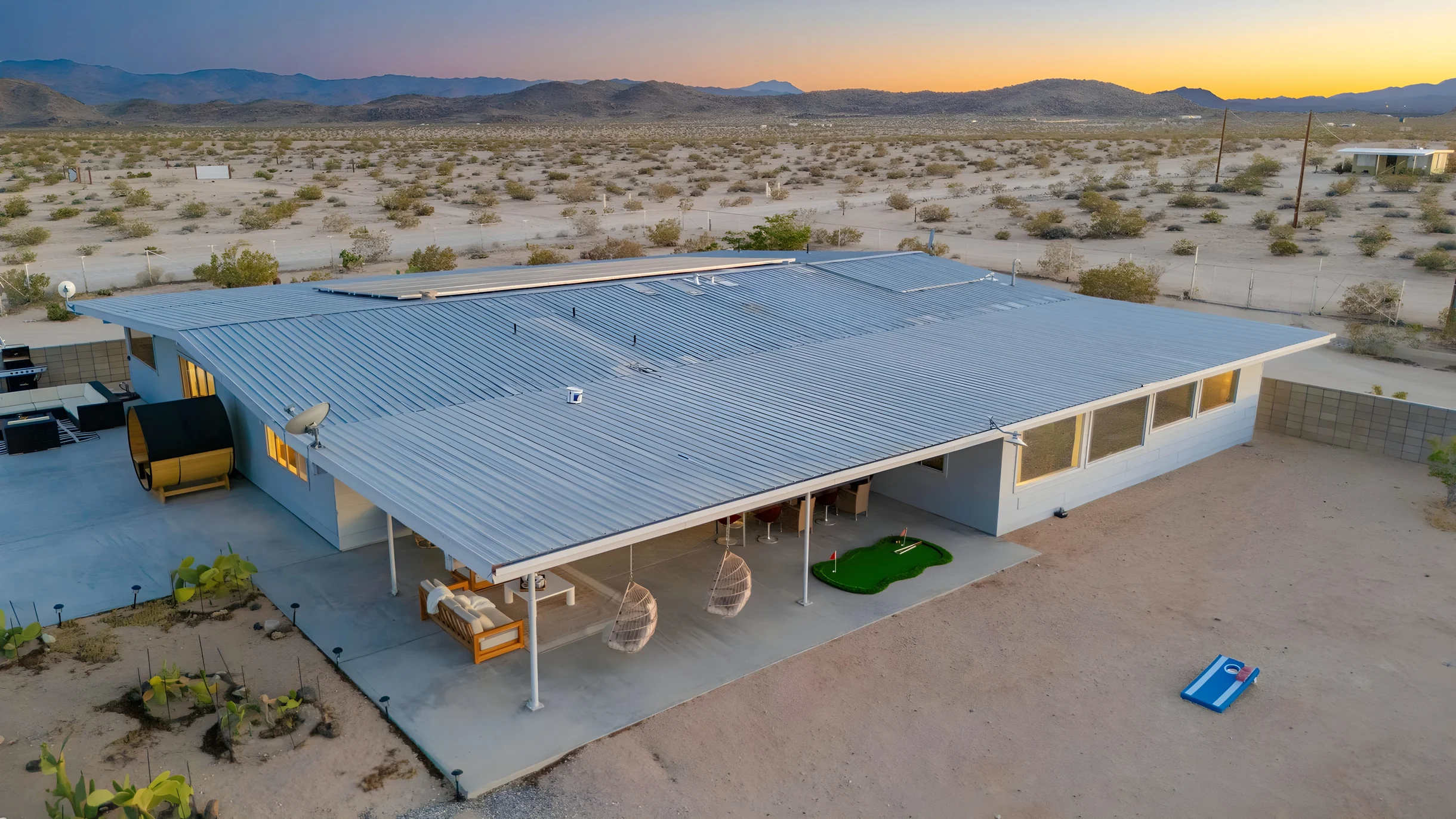 Wander Joshua Tree Cacti #4