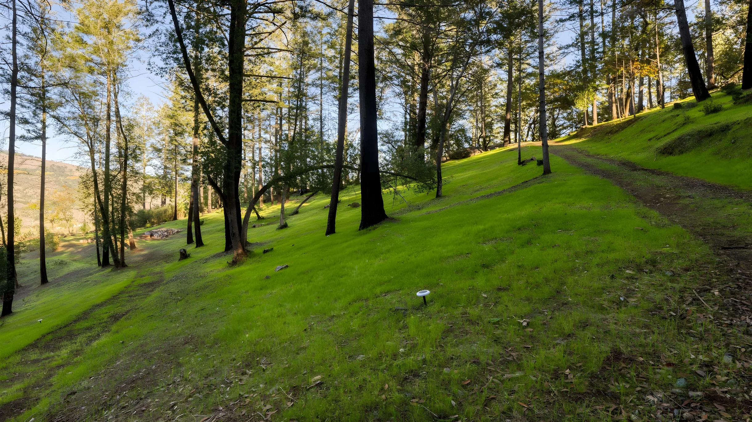 Wander Rincon Valley Retreat #44