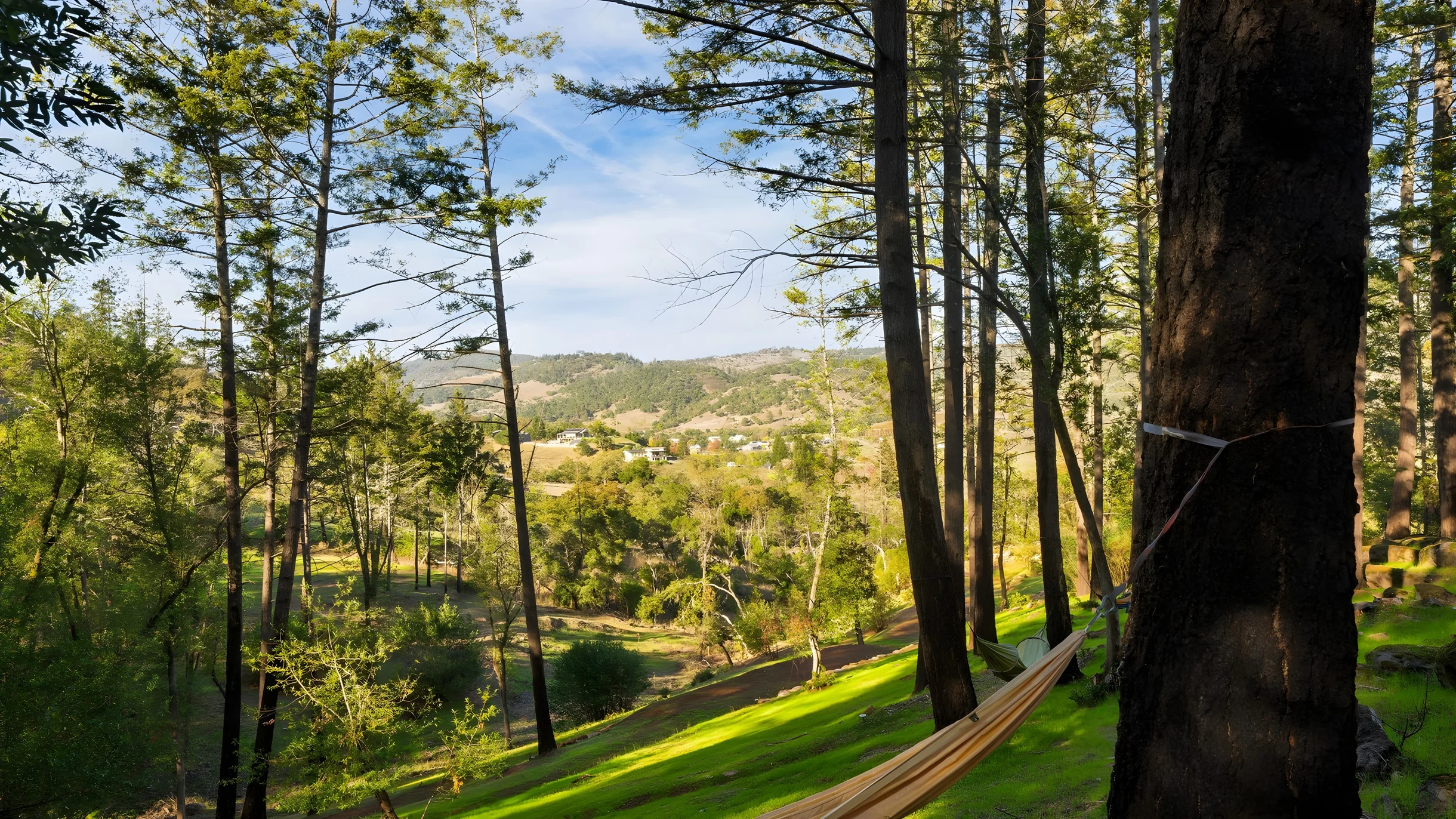 Wander Rincon Valley Retreat #42