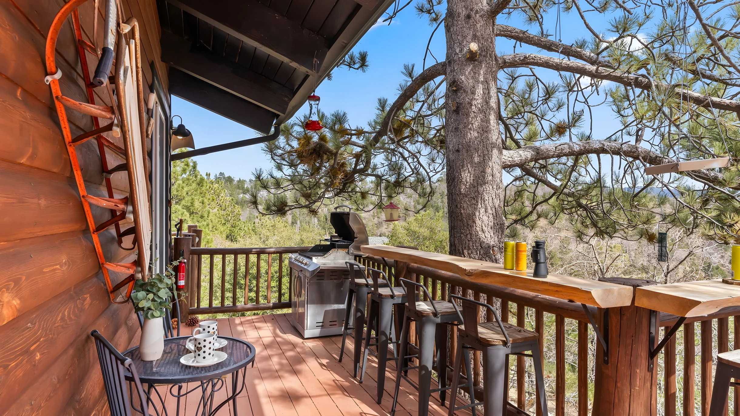 Wander Fawnskin Pines #53