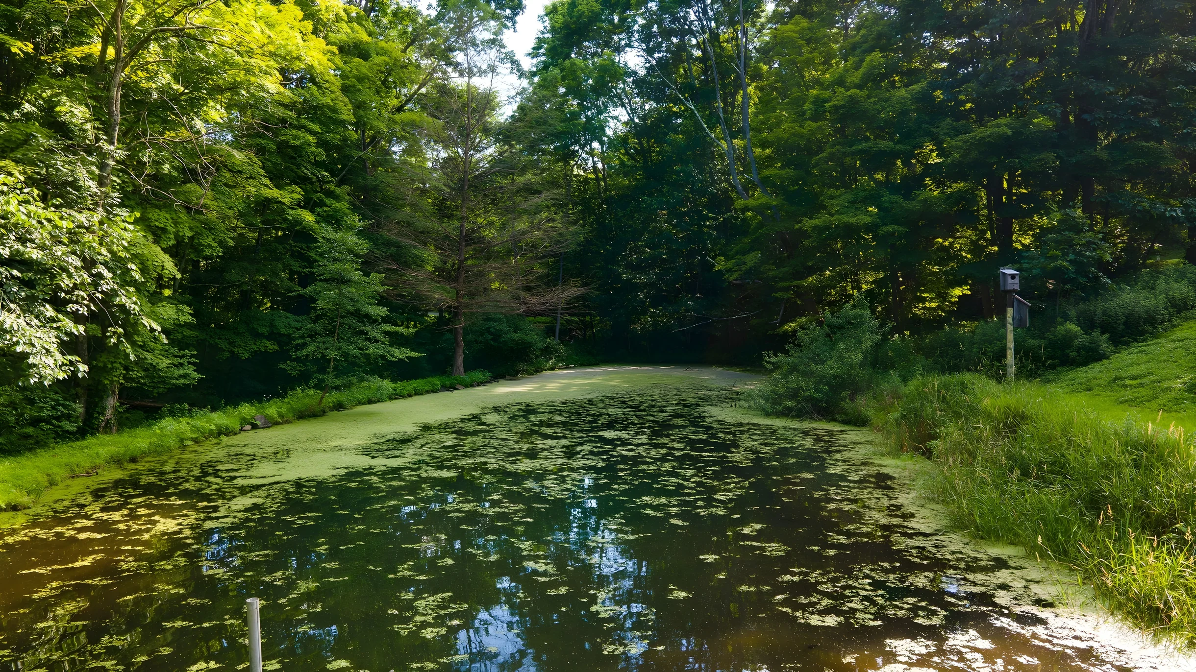 Wander Hudson Valley Retreat #69