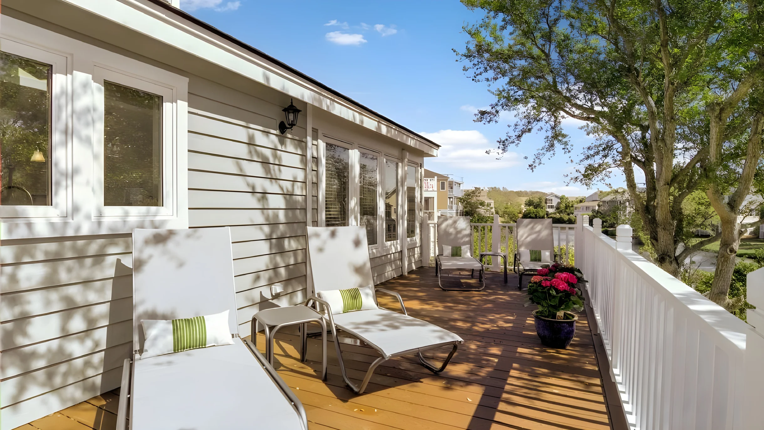 Wander Palms Reach #5