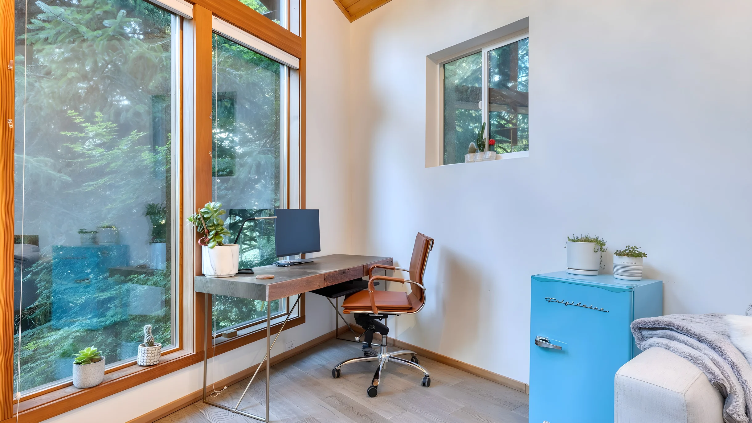 Wander Manzanita Forest