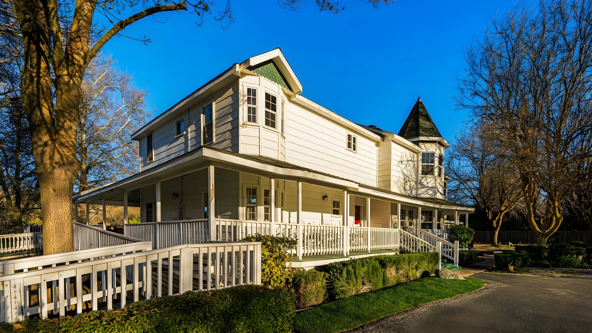 Wander Paso Robles Syrah #5