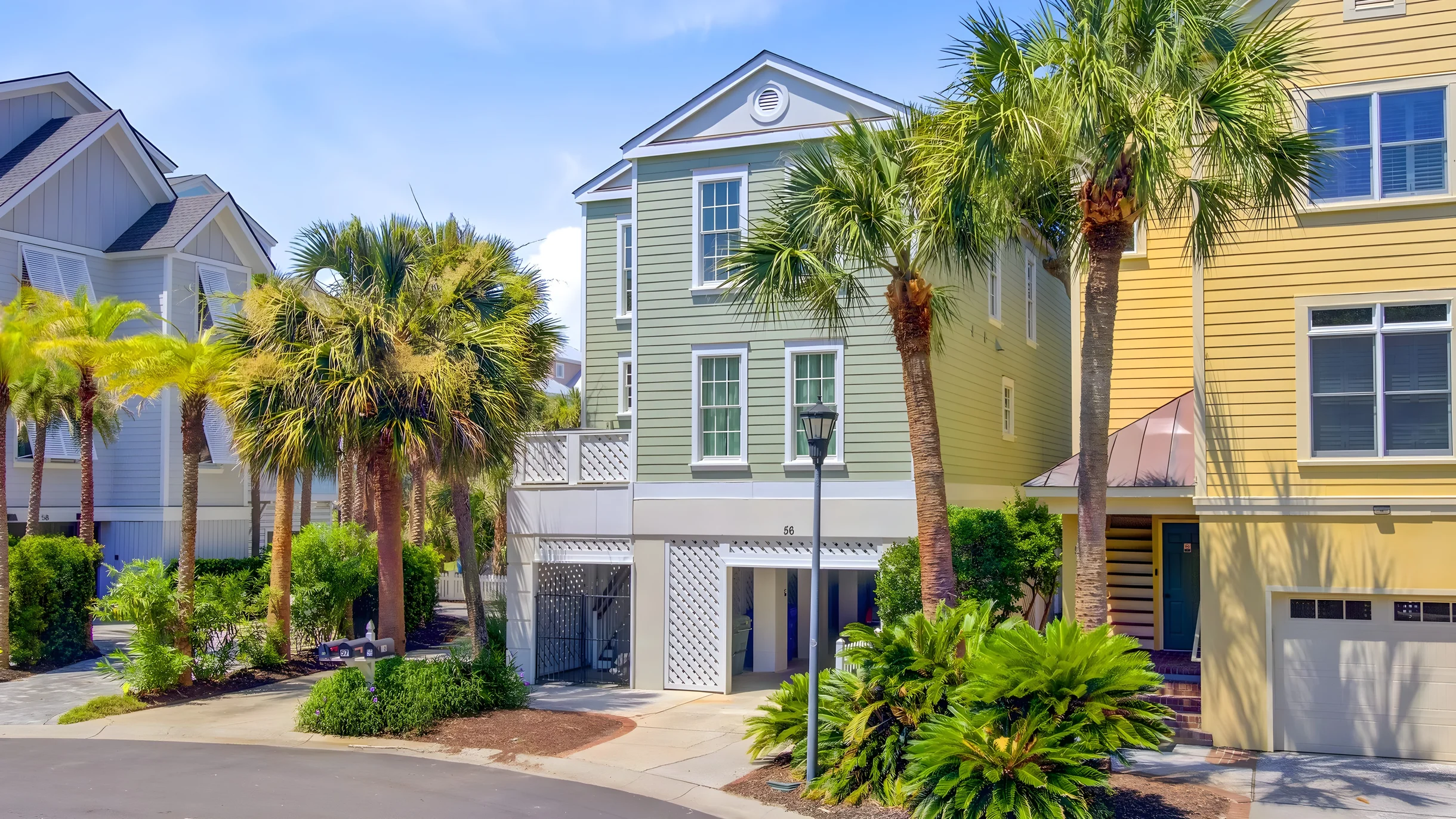 Wander Palms Allure #5