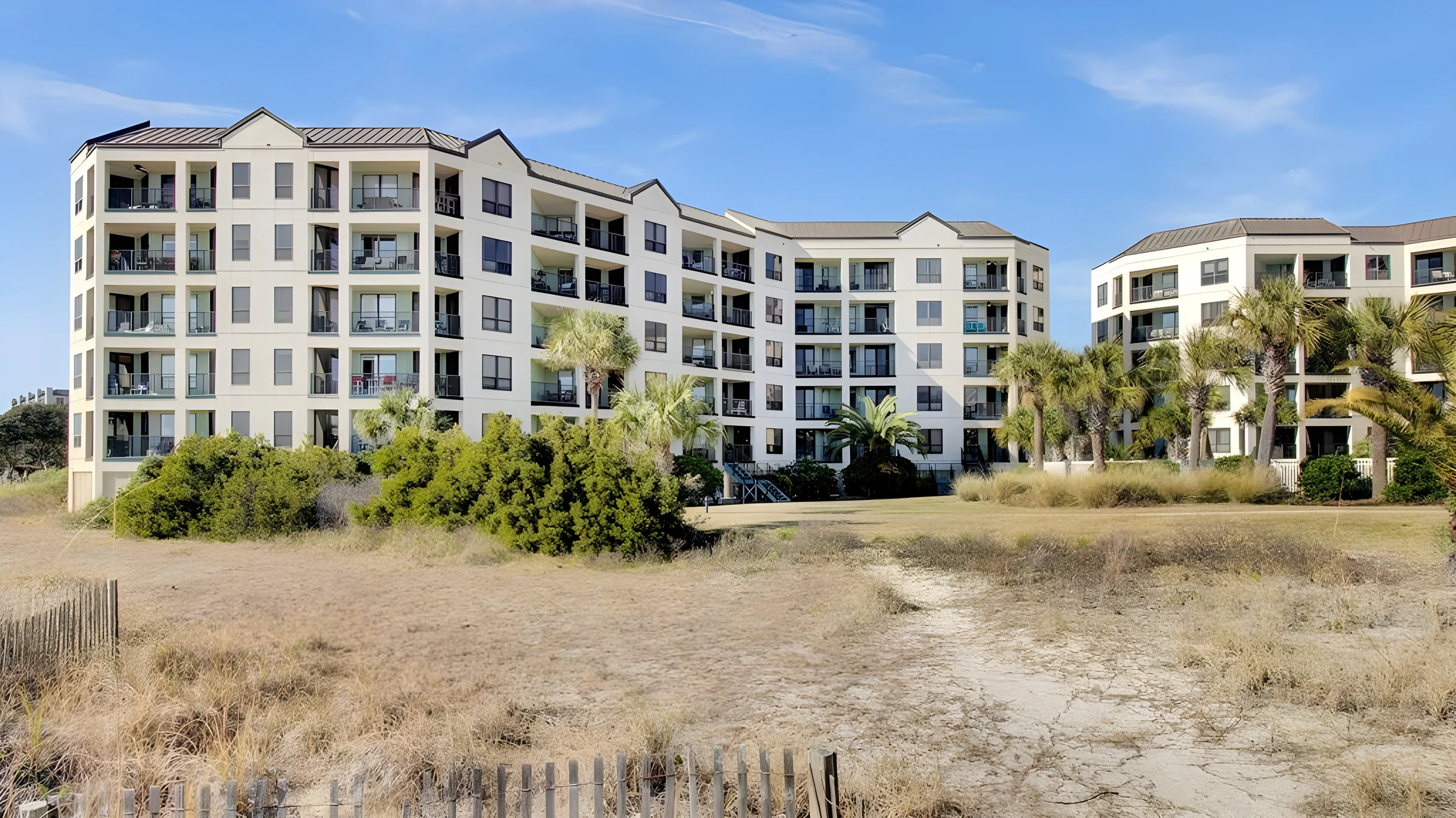 Wander Palms Crest #4