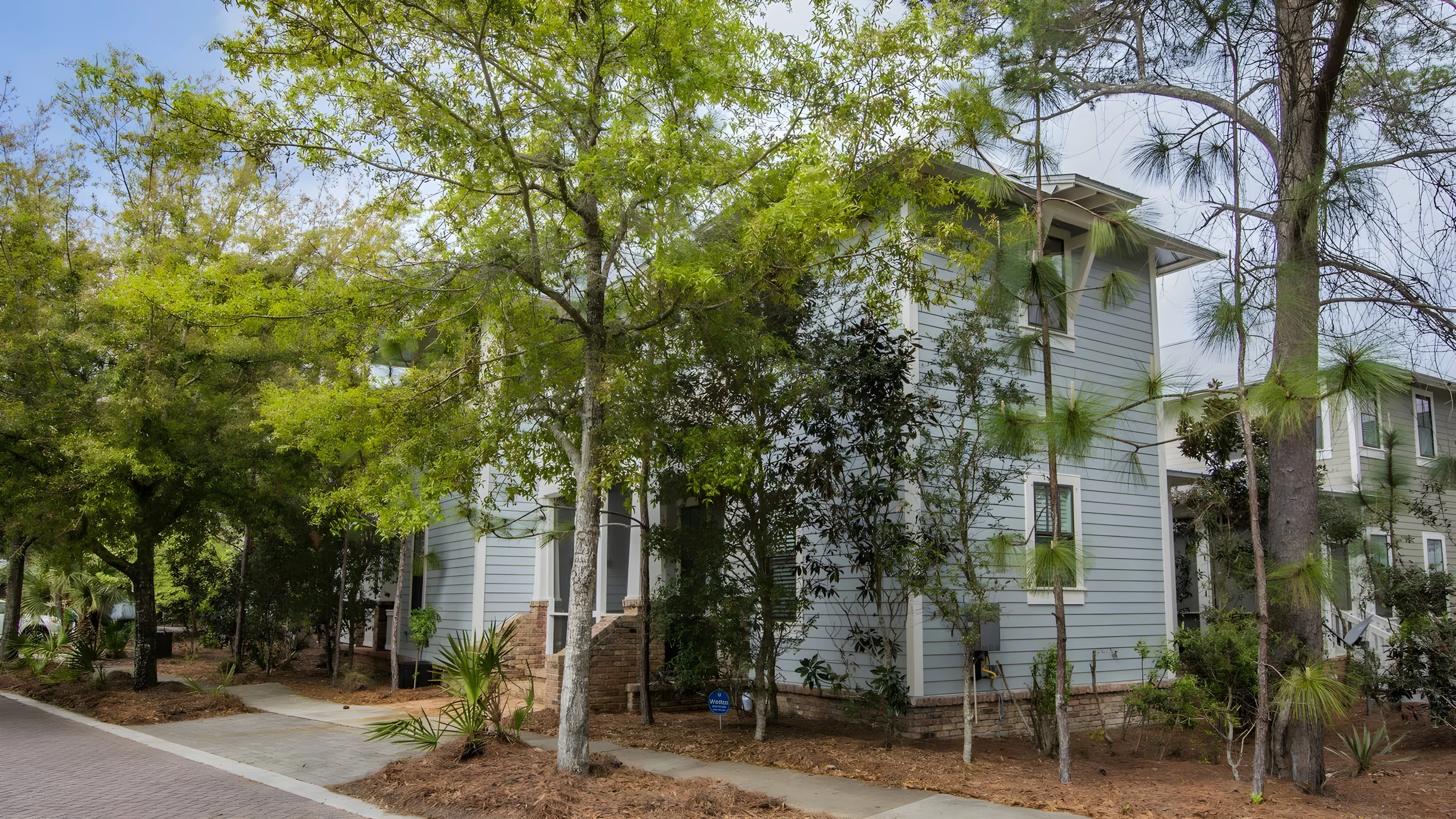 Wander Santa Rosa Grove #4