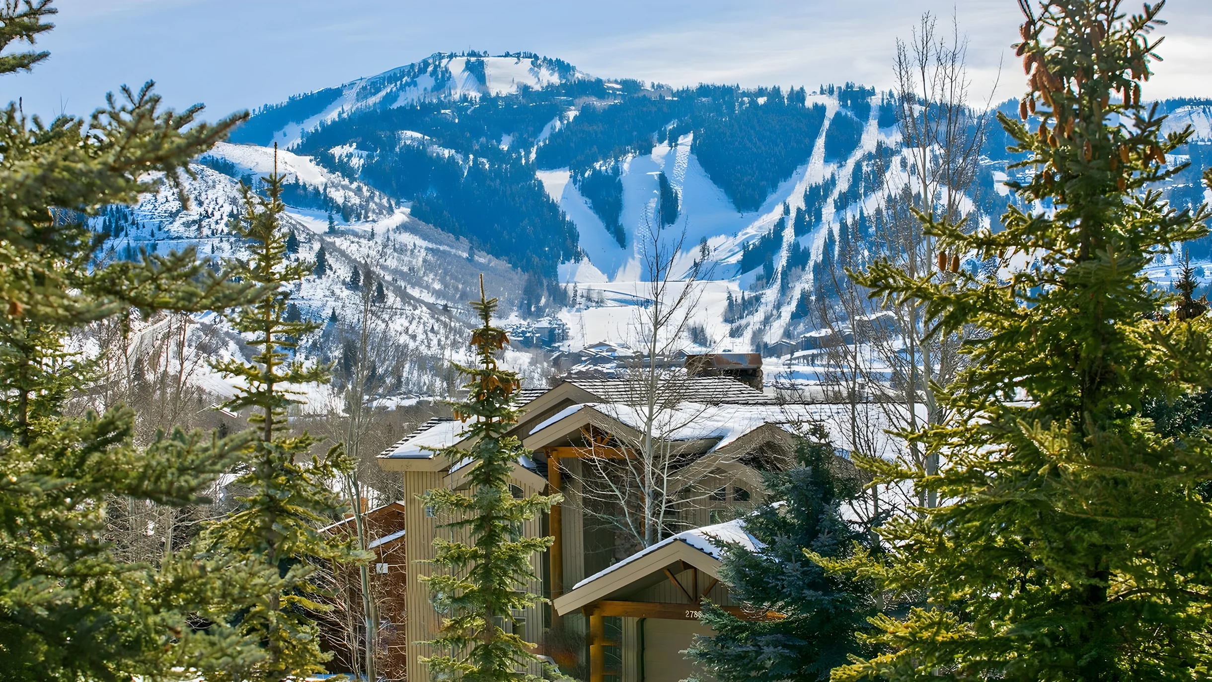 Wander Park City Glades #38