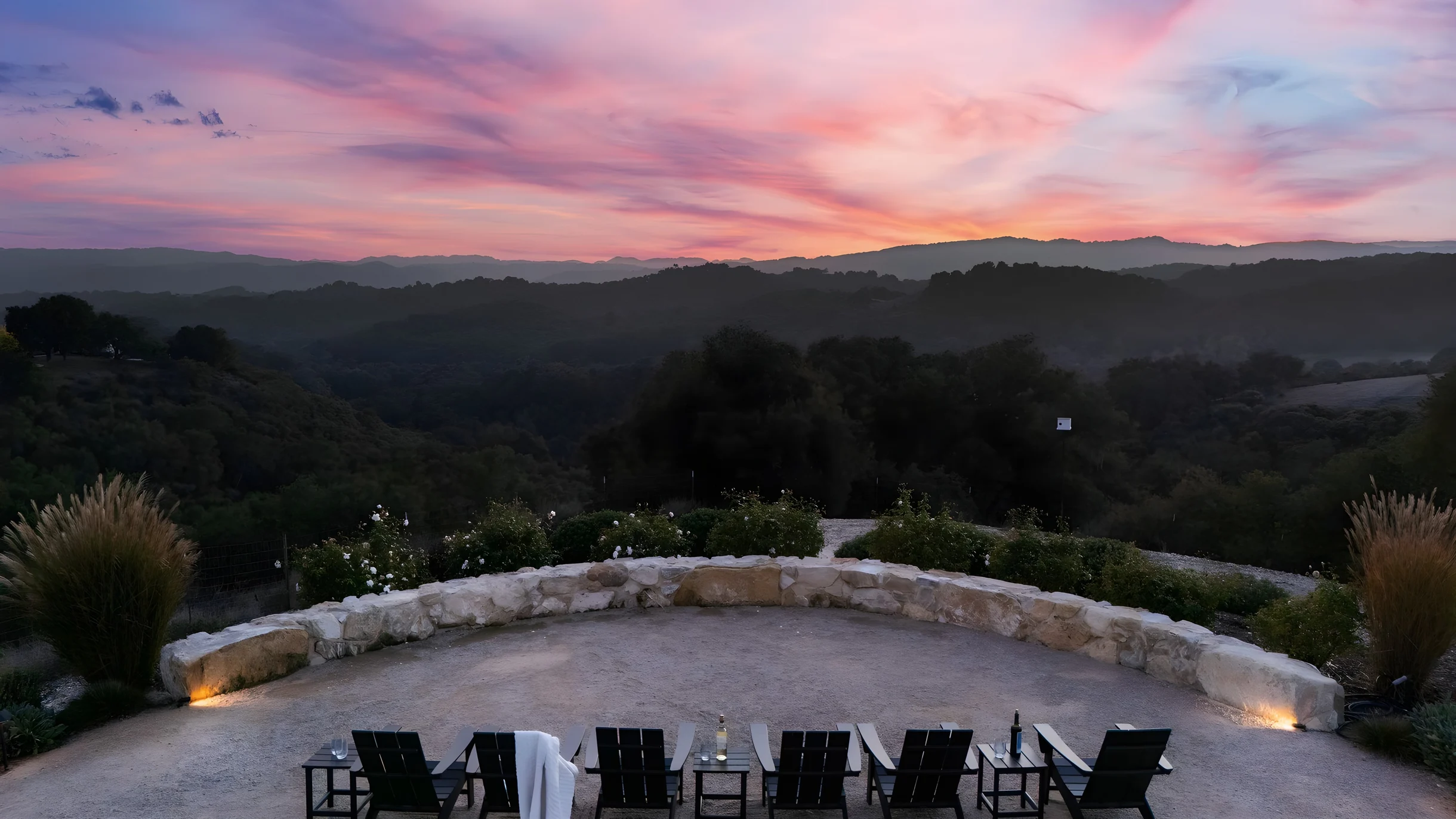 Wander Paso Robles Haze #46