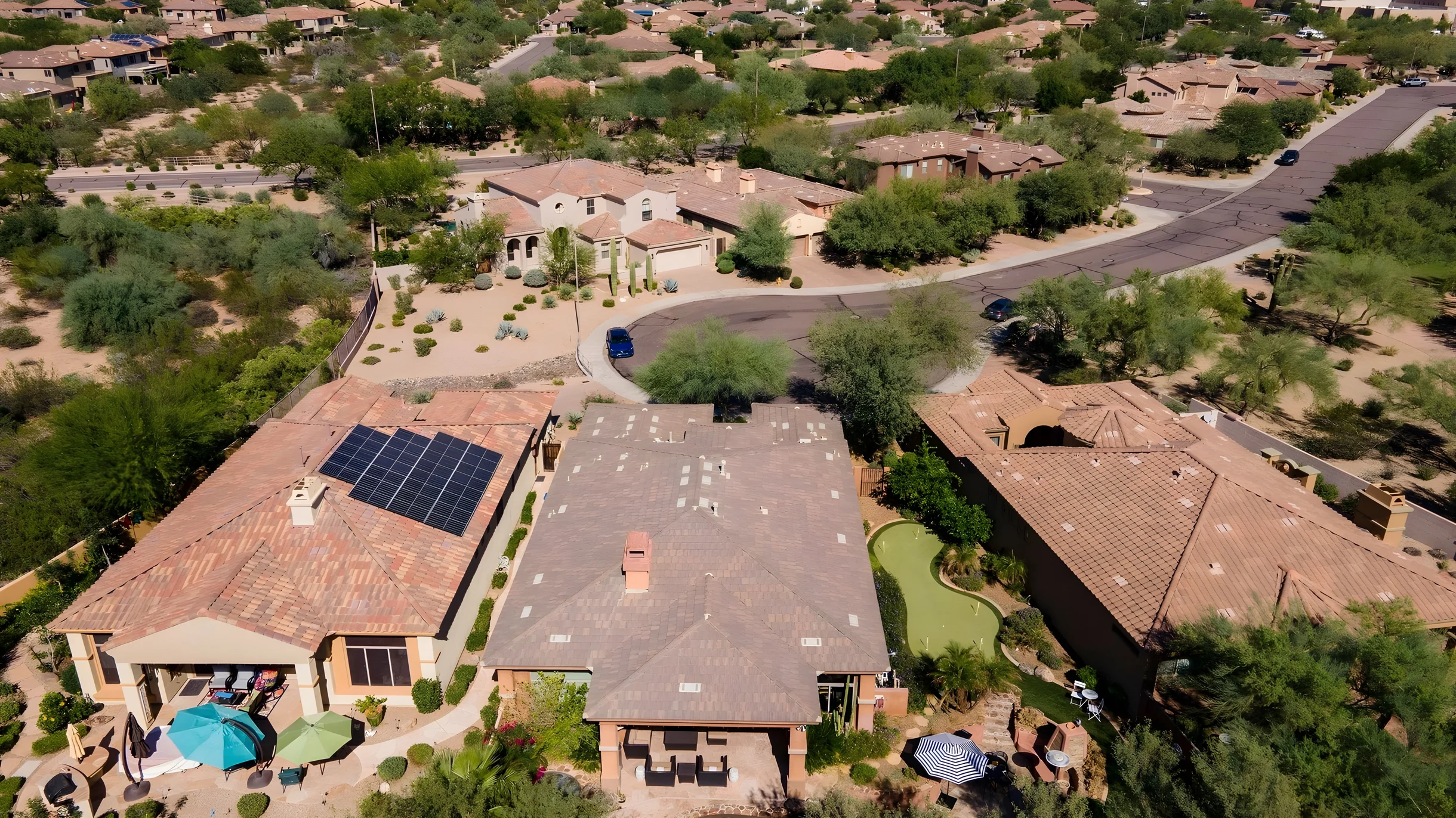 Wander Phoenix Desert #5