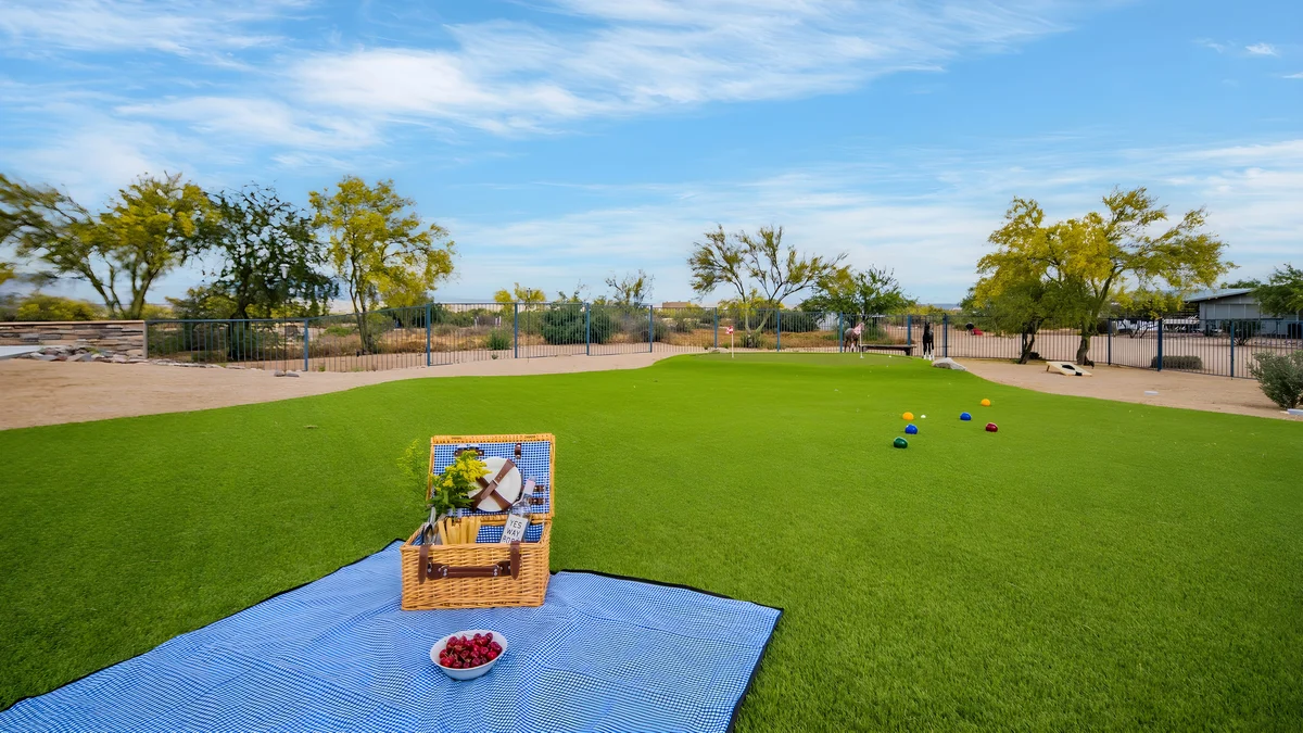 Wander Scottsdale Forest